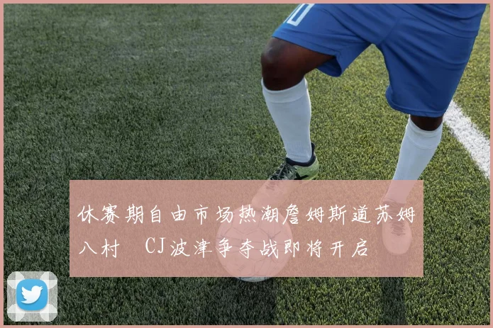休赛期自由市场热潮詹姆斯道苏姆八村塁CJ波津争夺战即将开启
